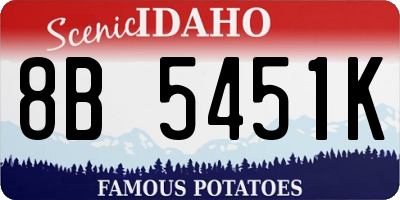 ID license plate 8B5451K