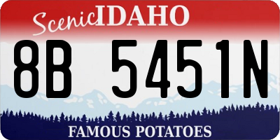 ID license plate 8B5451N