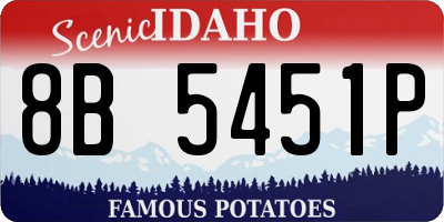ID license plate 8B5451P