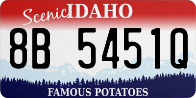 ID license plate 8B5451Q
