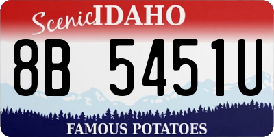 ID license plate 8B5451U