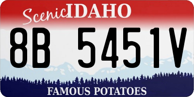 ID license plate 8B5451V