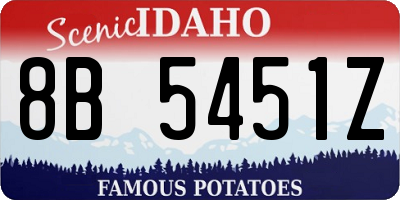 ID license plate 8B5451Z