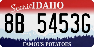 ID license plate 8B5453G