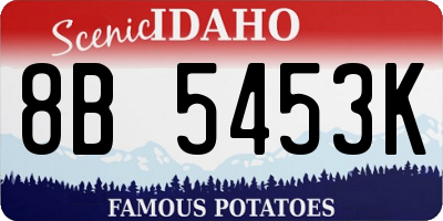ID license plate 8B5453K