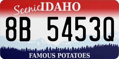 ID license plate 8B5453Q
