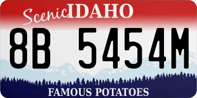 ID license plate 8B5454M