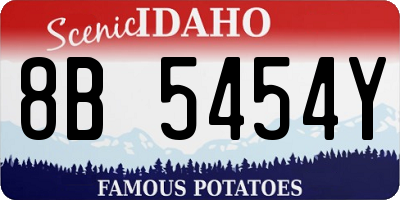 ID license plate 8B5454Y