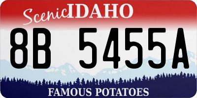 ID license plate 8B5455A