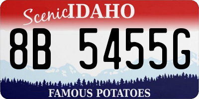 ID license plate 8B5455G