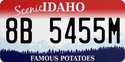 ID license plate 8B5455M