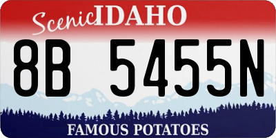 ID license plate 8B5455N