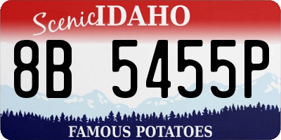 ID license plate 8B5455P