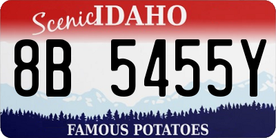 ID license plate 8B5455Y