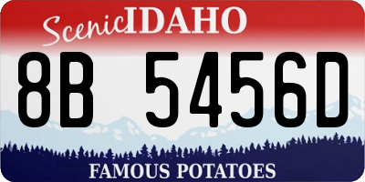 ID license plate 8B5456D