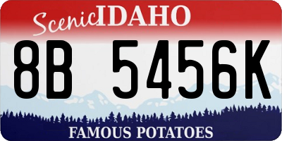 ID license plate 8B5456K