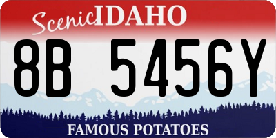ID license plate 8B5456Y