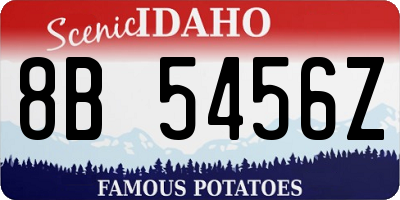 ID license plate 8B5456Z