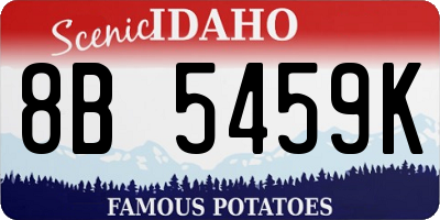 ID license plate 8B5459K