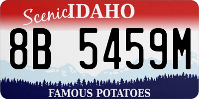 ID license plate 8B5459M