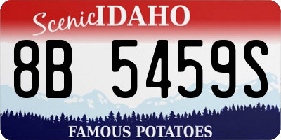 ID license plate 8B5459S