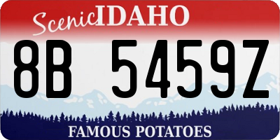 ID license plate 8B5459Z