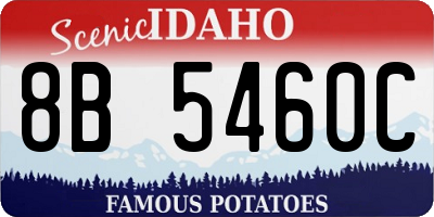 ID license plate 8B5460C