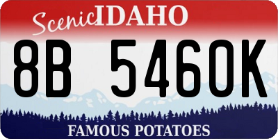 ID license plate 8B5460K