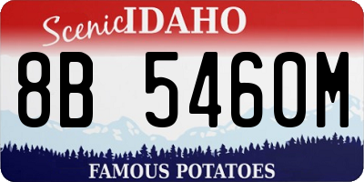 ID license plate 8B5460M