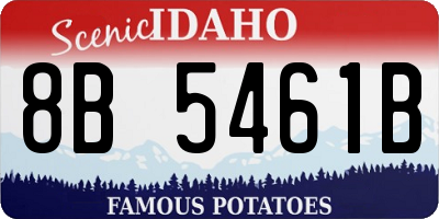 ID license plate 8B5461B