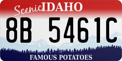 ID license plate 8B5461C