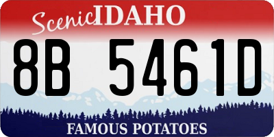 ID license plate 8B5461D