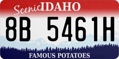 ID license plate 8B5461H