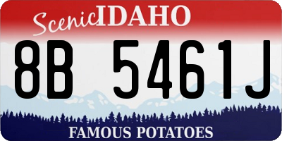 ID license plate 8B5461J