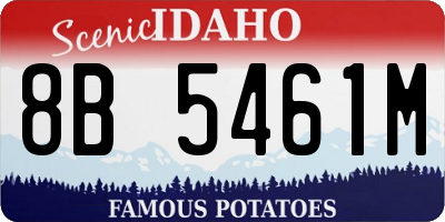 ID license plate 8B5461M