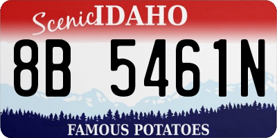 ID license plate 8B5461N