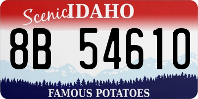 ID license plate 8B5461O