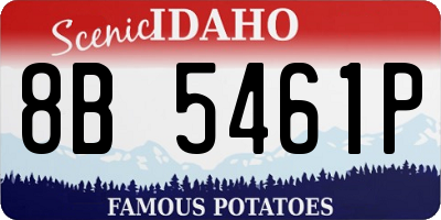 ID license plate 8B5461P