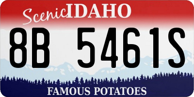 ID license plate 8B5461S