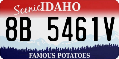 ID license plate 8B5461V