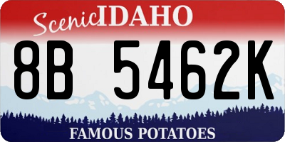 ID license plate 8B5462K