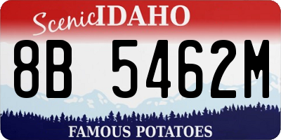 ID license plate 8B5462M