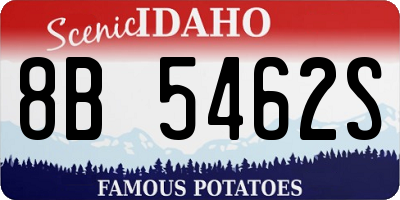 ID license plate 8B5462S