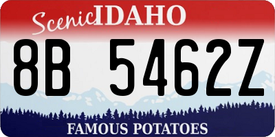 ID license plate 8B5462Z