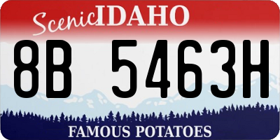 ID license plate 8B5463H