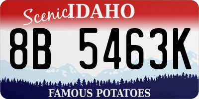 ID license plate 8B5463K