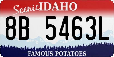 ID license plate 8B5463L