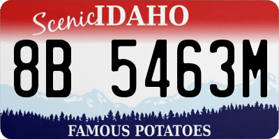 ID license plate 8B5463M