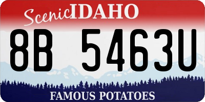 ID license plate 8B5463U
