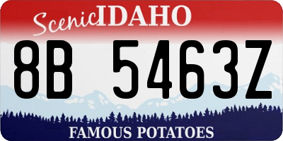 ID license plate 8B5463Z